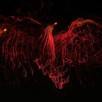 Phoenix Rising //images.artistrunwebsite.com/gallery/img_2555811519836783_large.jpg?1556429582
