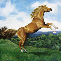 King Of THe Hill //images.artistrunwebsite.com/gallery/img_2562201520762951_large.jpg?1621512150