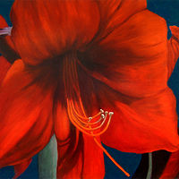 red passion //images.artistrunwebsite.com/gallery/img_2562221520762998_large.jpg?1553401840