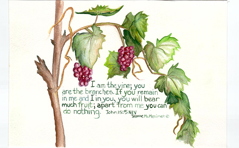 "The Vine" Print "The Vine" by Jeanne McMenimen
