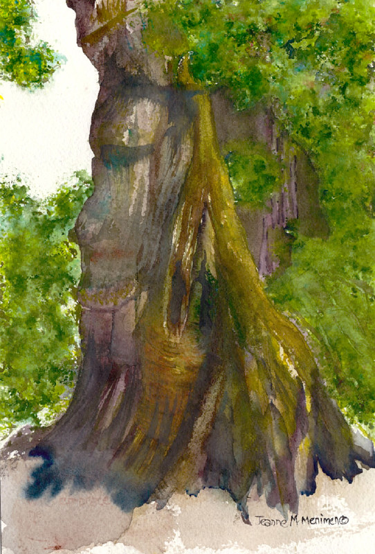 "Firmly Planted" Print "Firmly Planted" by Jeanne McMenimen