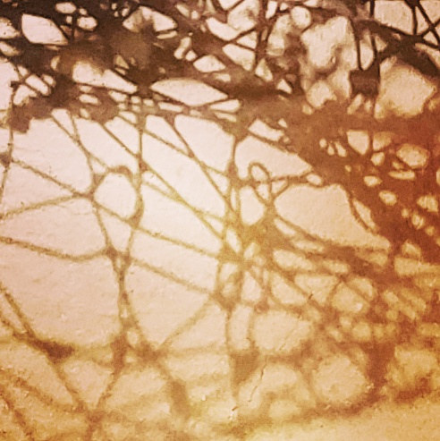 Woven Shadow Photography Woven Shadow by Jacqueline Bell johnson