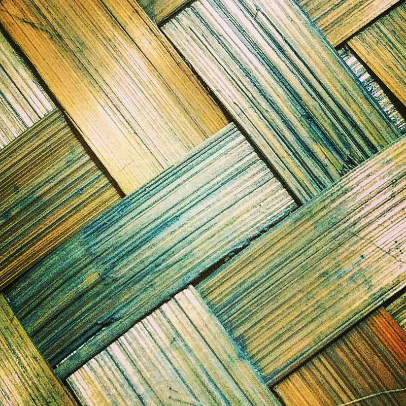 Woven Print Woven by Jacqueline Bell Johnson