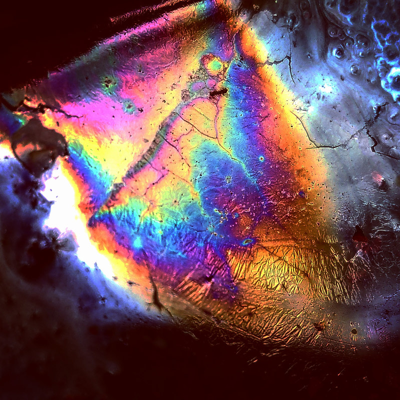 BioSlick Rainbow Print BioSlick Rainbow by Jacqueline Bell Johnson