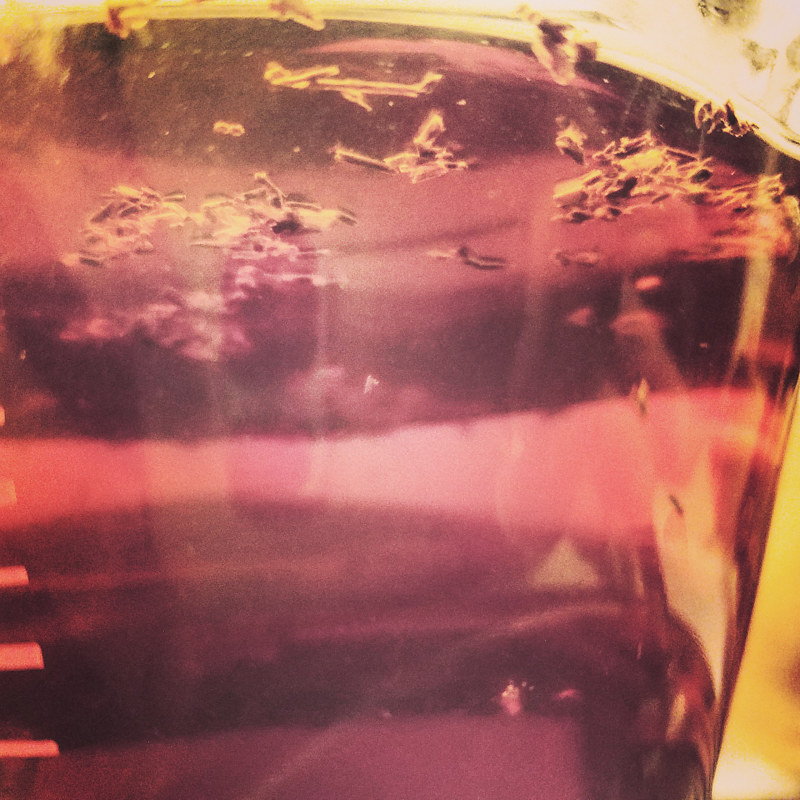Layers of Refraction Print Layers of Refraction by Jacqueline Bell Johnson