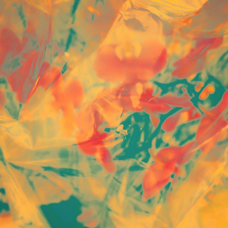 Summer Palette Print Summer Palette by Jacqueline Bell Johnson