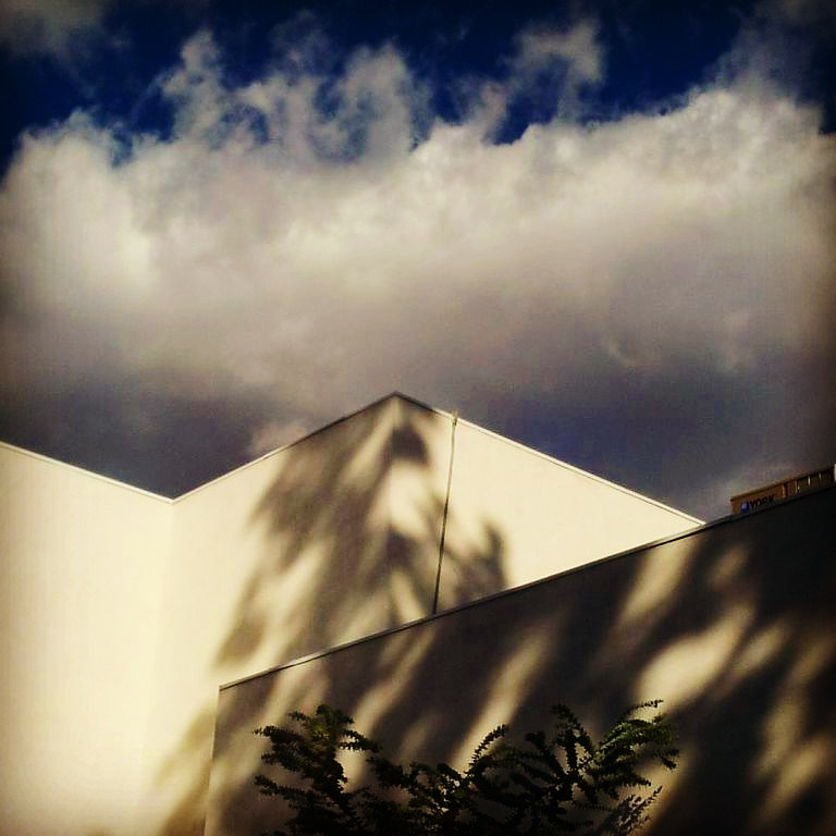 Of Trees and Clouds Photography Of Trees and Clouds by Jacqueline Bell johnson
