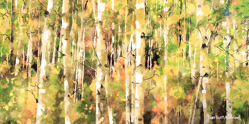 ASPENS 19 M Print ASPENS 19 M by Todd Scott Anderson
