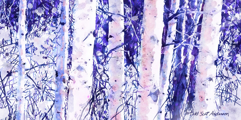 ASPENS 21 M Print ASPENS 21 M by Todd Scott Anderson