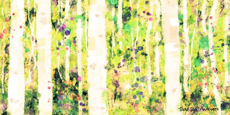 ASPENS 3 M Print ASPENS 3 M by Todd Scott Anderson