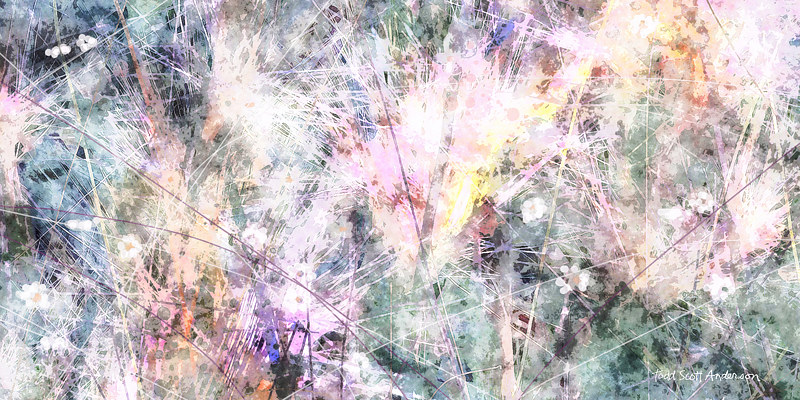MOUNTAIN MEADOW 36 M Print MOUNTAIN MEADOW 36 M by Todd Scott Anderson