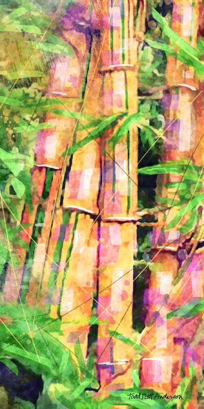 BAMBOO 11 T Print BAMBOO 11 T by Todd Scott Anderson