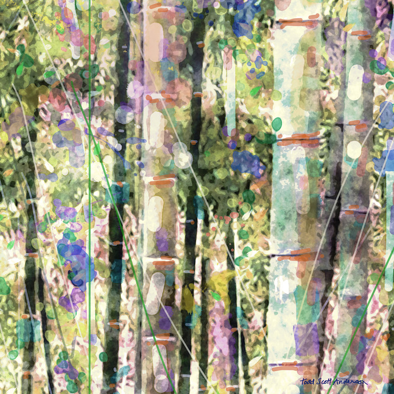 BAMBOO 3 T Print BAMBOO 3 T by Todd Scott Anderson