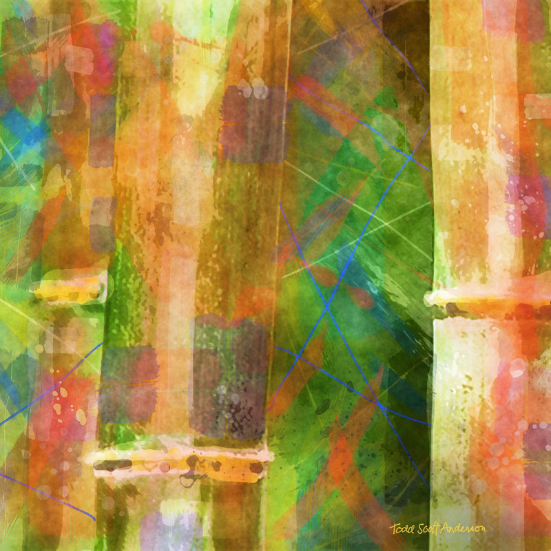 BAMBOO 7 T Print BAMBOO 7 T by Todd Scott Anderson