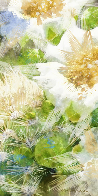 SONORA CACTUS 16 D Print SONORA CACTUS 16 D by Todd Scott Anderson