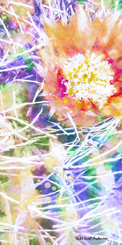MOJAVE CACTUS 32 D Print MOJAVE CACTUS 32 D by Todd Scott Anderson