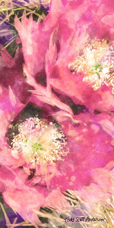 SONORA CACTUS 67 D Print SONORA CACTUS 67 D by Todd Scott Anderson