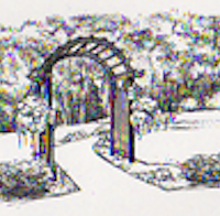 trellis //images.artistrunwebsite.com/gallery/img_2649381533202379_large.png?1533202660