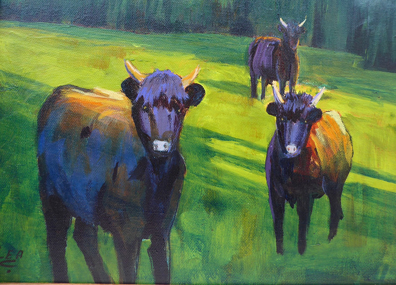 Curious Highland cows 11x14 acrylic Painting Curious Highland cows 11x14 acrylic by Cecilia Lea