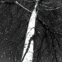 Personality //images.artistrunwebsite.com/gallery/img_2674931536406868_large.jpg?1545699744