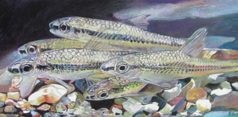 Cape Fear Shiner Painting Cape Fear Shiner by Nancy Sharp