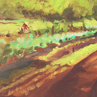 O'o Farm //images.artistrunwebsite.com/gallery/img_2711991541938500_large.jpg?1583051404