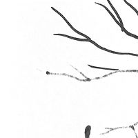 tree //images.artistrunwebsite.com/gallery/img_272231361687773_large.jpg?1503009556