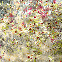 May at the Inn //images.artistrunwebsite.com/gallery/img_2730731545701268_large.jpg?1545702162