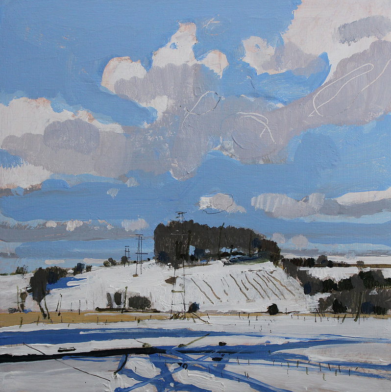 10 Saved Acres, February 20 Acrylic painting 10 Saved Acres, February 20 by Harry Stooshinoff