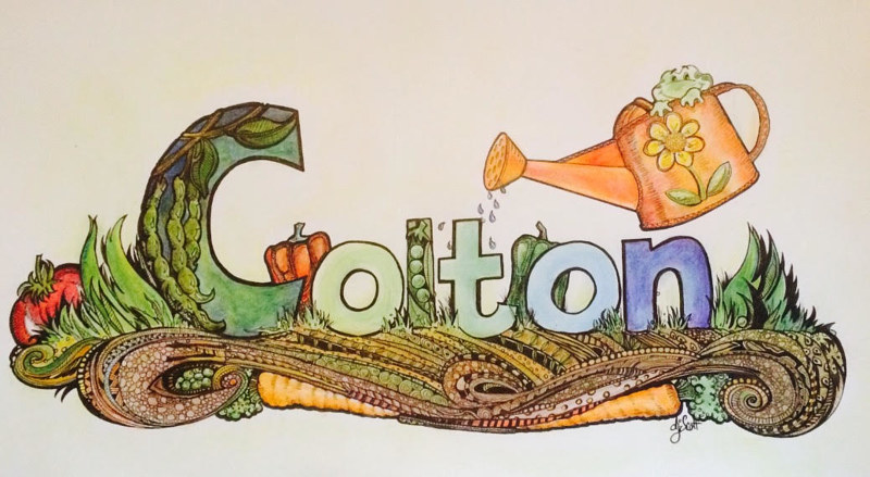 Colton Watercolor Colton by Danielle Scott