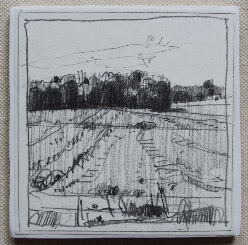 July Morning Drawing July Morning by Harry Stooshinoff