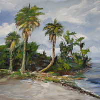 Tampa Bay Shores at Gandy //images.artistrunwebsite.com/gallery/img_2849061563345792_large.jpg?1566889968