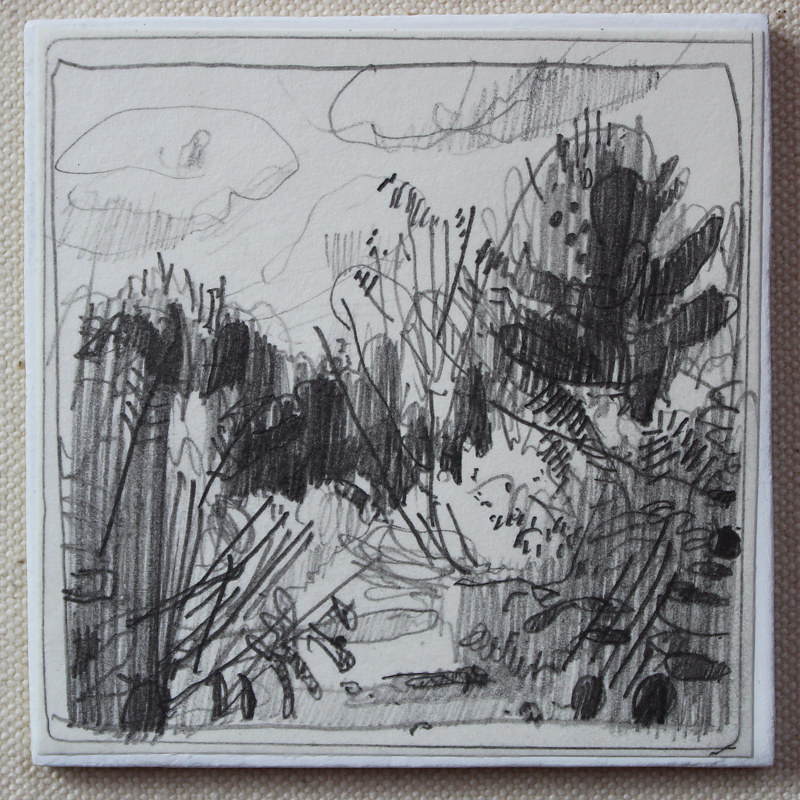 Forest Path Drawing Forest Path by Harry Stooshinoff