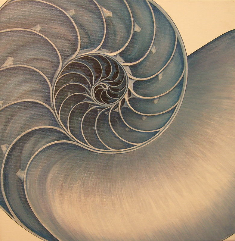 Blue grey Nautilus Oil painting Blue grey Nautilus by Sue Ellen Brown