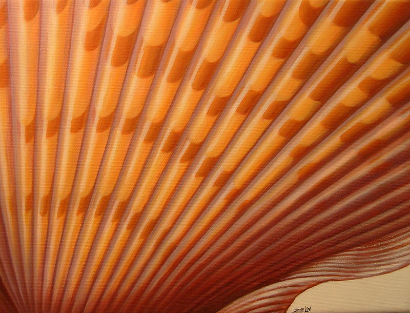 Sienna Scallop Oil painting Sienna Scallop by Sue Ellen Brown