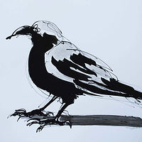 Crow 1, 2019 SOLD //images.artistrunwebsite.com/gallery/img_2908331572227230_large.jpg?1658978252