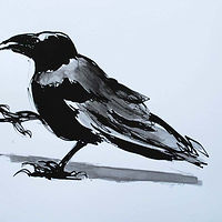 Crow 2, 2019, SOLD, thank you Vancouver Art Rental & Sales) //images.artistrunwebsite.com/gallery/img_2908341572227239_large.jpg?1658978252