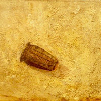 vessel //images.artistrunwebsite.com/gallery/img_2934961575805965_large.jpeg?1575806013
