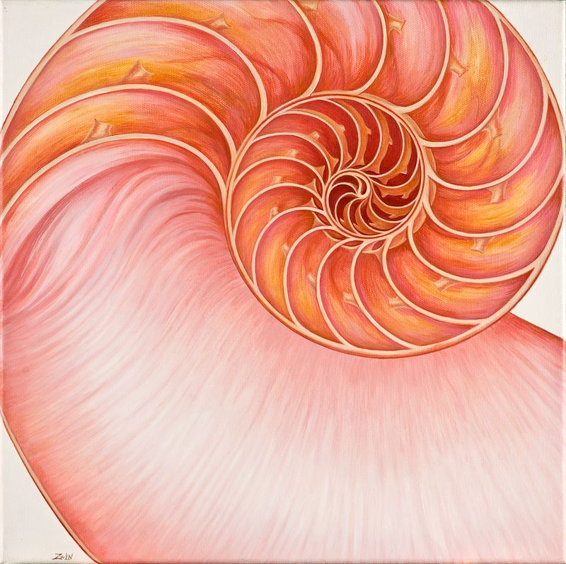 Rose Nautilus Oil painting Rose Nautilus by Sue Ellen Brown
