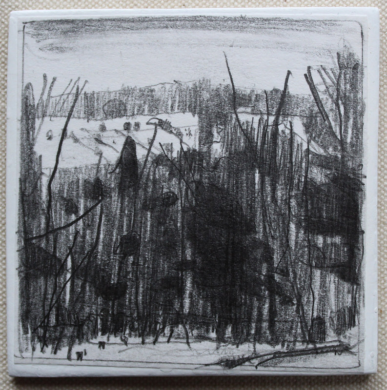 Forest Ridge Drawing Forest Ridge by Harry Stooshinoff