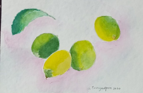 Four Limes and a Lime Leaf Watercolor Four Limes and a Lime Leaf by Gwenda Branjerdporn