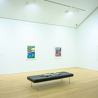 Sonny Assu and Emily Carr: Conversing Cultures //images.artistrunwebsite.com/gallery/img_3037391590316147_large.jpg?1590316804