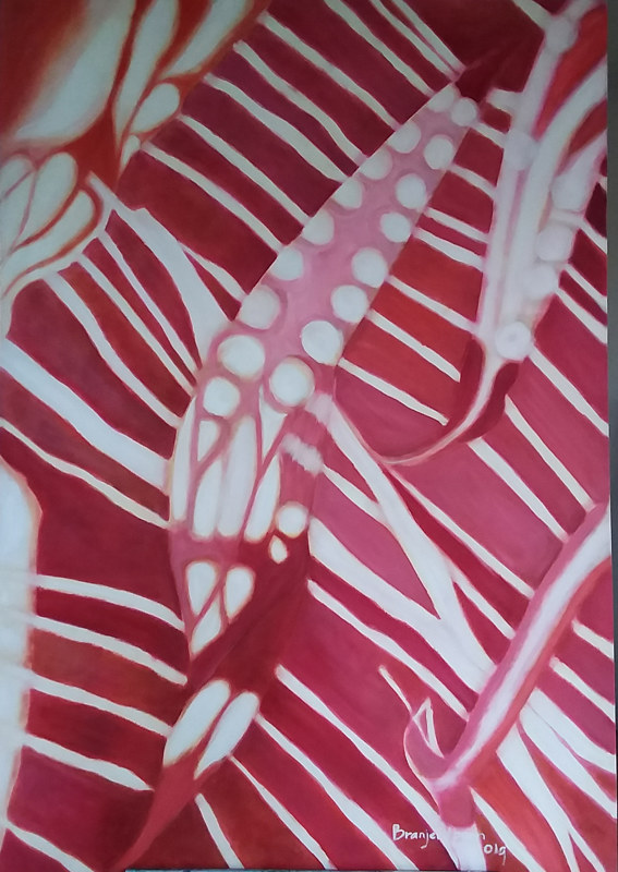 Abstraction Shibori #2 Oil painting Abstraction Shibori #2 by Gwenda Branjerdporn