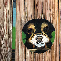 Buster //images.artistrunwebsite.com/gallery/img_3113271600062745_large.jpeg?1600595655