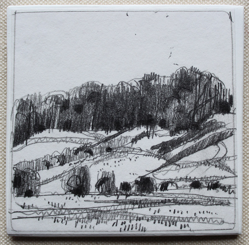 Garden Hill, New Years Day Drawing Garden Hill, New Years Day by Harry Stooshinoff