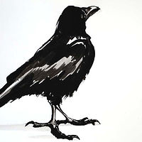 Crow 8,2020,ink on paper (available at Vancouver Art Rental & Sales Program) //images.artistrunwebsite.com/gallery/img_3201451612584269_large.jpg?1612584581