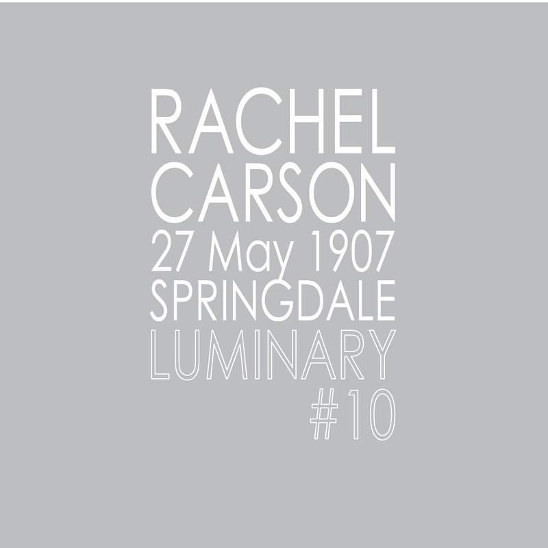 Luminary #10, Rachel Carson Luminary #10, Rachel Carson by Amarie Bergman