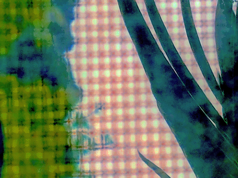 Nature Through the Grid Print Nature Through the Grid by Jacqueline Bell Johnson