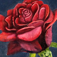 A Single Red Rose //images.artistrunwebsite.com/gallery/img_3253941621513340_large.jpg?1621513341
