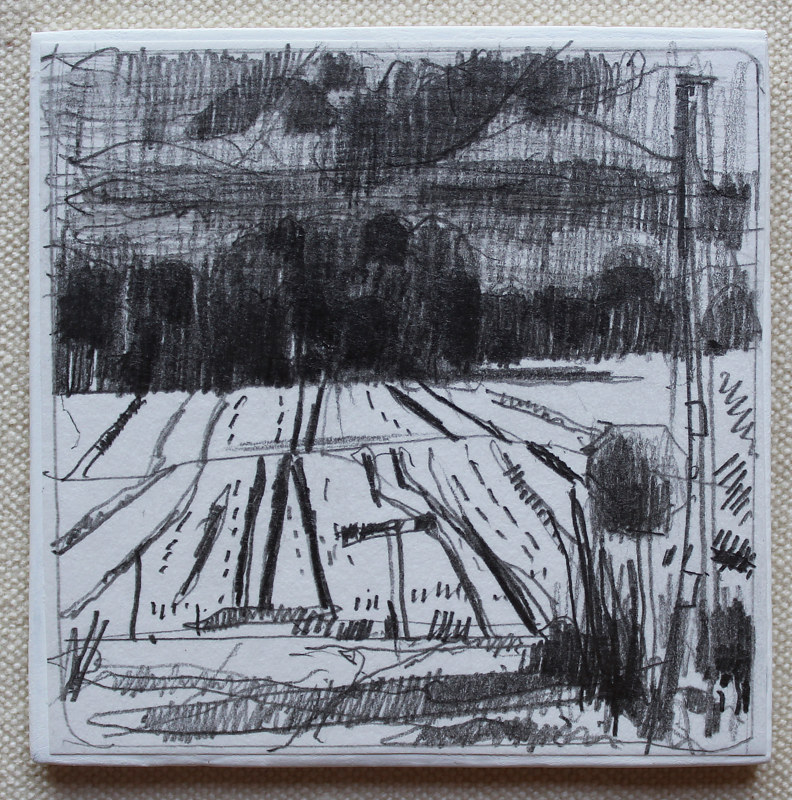 June Shower Drawing June Shower by Harry Stooshinoff